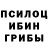 Псилоцибиновые грибы Psilocybe Ben Meover