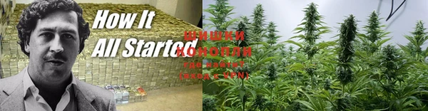 каннабис Заволжье