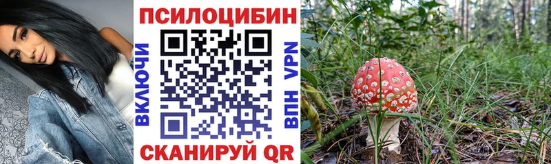 Купить закладки  Высоковск  Галлюциногенные грибы мухоморы 